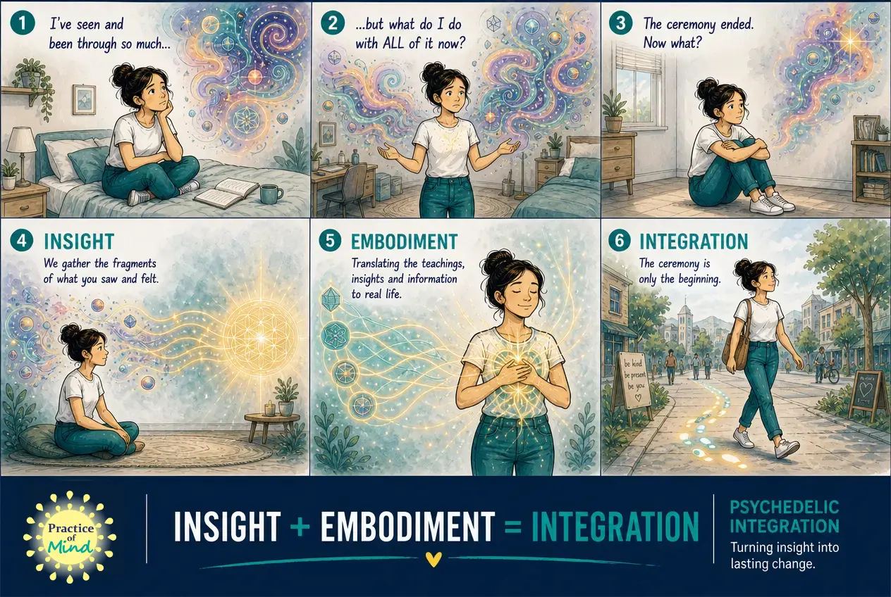 Insight plus embodiment equals integration - a psychedelic integration comic